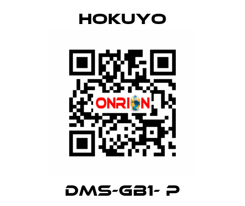 DMS-GB1- P Hokuyo