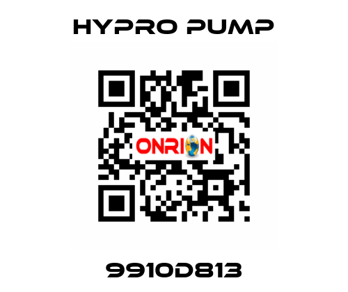 9910D813 Hypro Pump