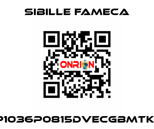 VDP1036P0815DVECGBMTKRI1T Sibille Fameca