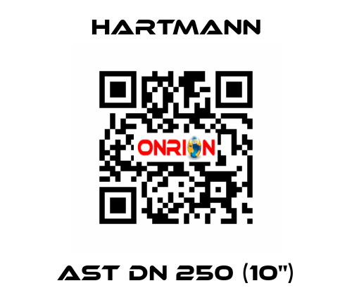 AST DN 250 (10") Hartmann