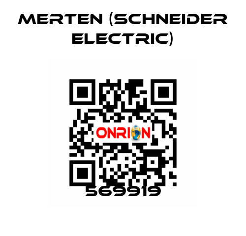 569919 Merten (Schneider Electric)