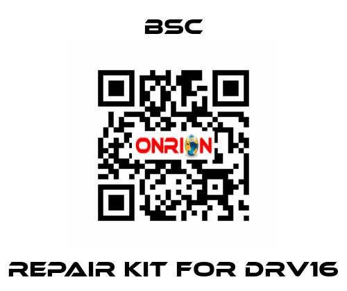 repair kit for DRV16 BSC