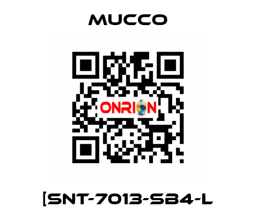 [SNT-7013-SB4-L mucco