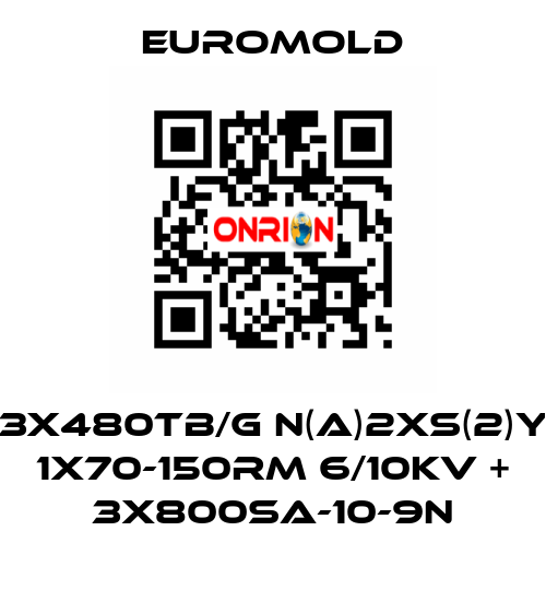 3x480TB/G N(A)2XS(2)Y 1X70-150RM 6/10KV + 3x800SA-10-9N EUROMOLD