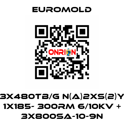 3x480TB/G N(A)2XS(2)Y 1X185- 300RM 6/10KV + 3x800SA-10-9N EUROMOLD