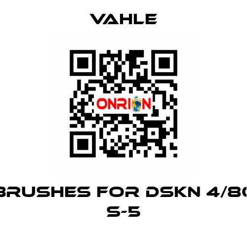 brushes for DSKN 4/80 S-5 Vahle