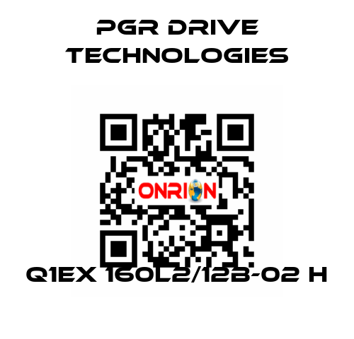 Q1EX 160L2/12B-02 H PGR Drive Technologies