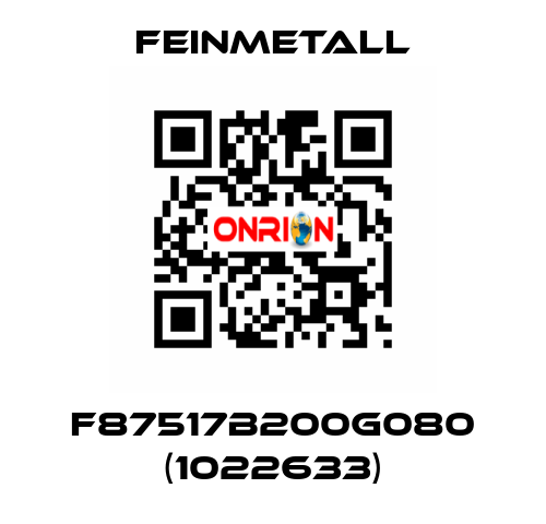 F87517B200G080 (1022633) FEINMETALL