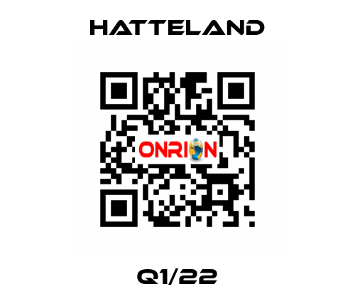 Q1/22 HATTELAND