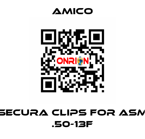 Secura Clips for ASM .50-13F AMICO