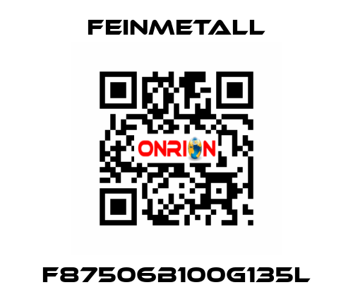 F87506B100G135L FEINMETALL