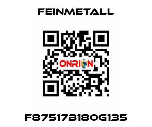 F87517B180G135 FEINMETALL