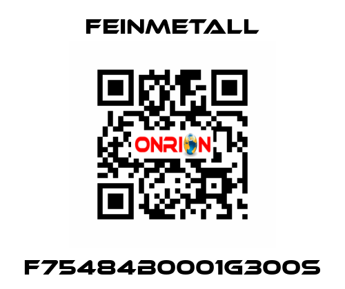 F75484B0001G300S FEINMETALL