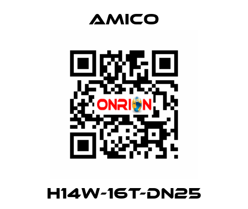 H14W-16T-DN25 AMICO