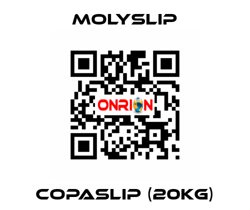 Copaslip (20kg) Molyslip