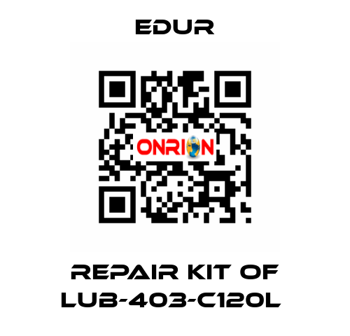 REPAIR KIT OF LUB-403-C120L  Edur