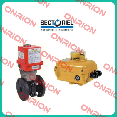 VALV TIPO 180 C/ ACTUADOR RECADA DN 80 Sectoriel