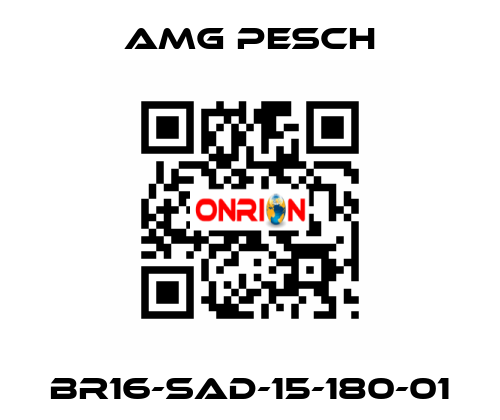 BR16-SAD-15-180-01 AMG Pesch