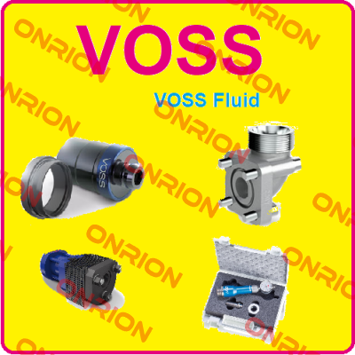 R1E21185125060 Voss