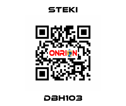 DBH103 Steki