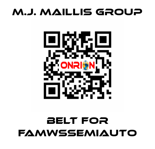 belt for FAMWSSEMIAUTO M.J. MAILLIS GROUP