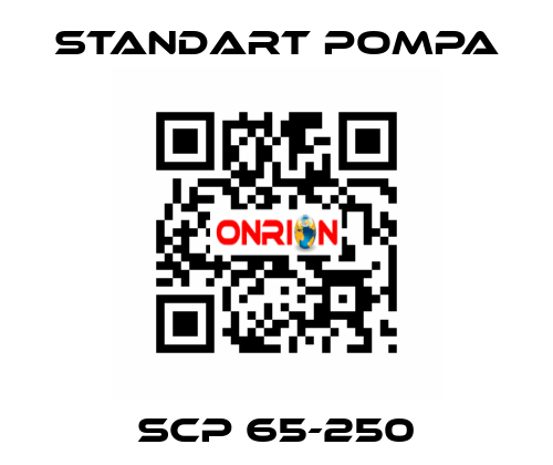 SCP 65-250 STANDART POMPA