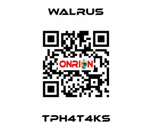 TPH4T4KS Walrus