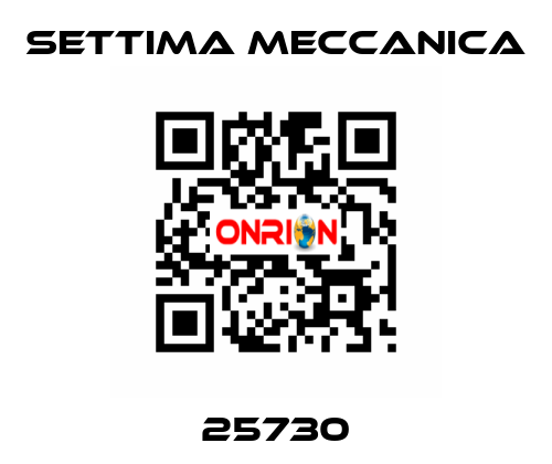 25730 Settima Meccanica