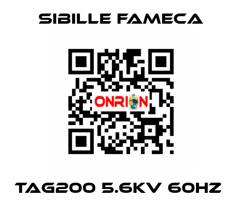 TAG200 5.6KV 60HZ  Sibille Fameca