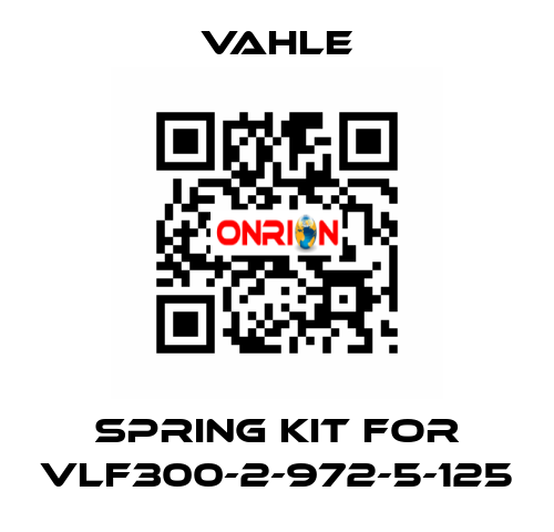 spring kit for VLF300-2-972-5-125 Vahle