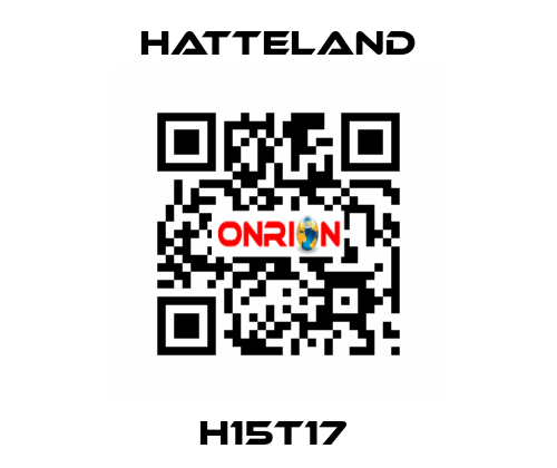 H15T17  HATTELAND