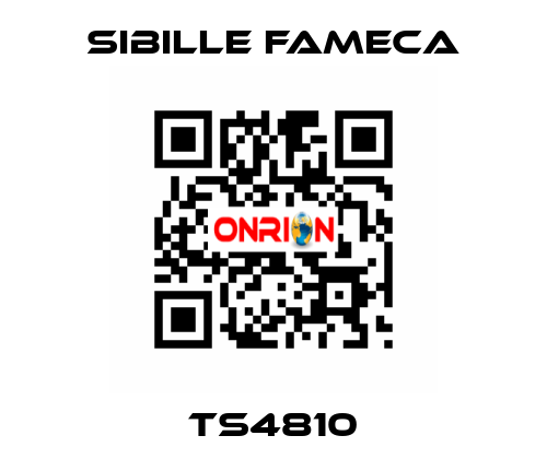 TS4810 Sibille Fameca