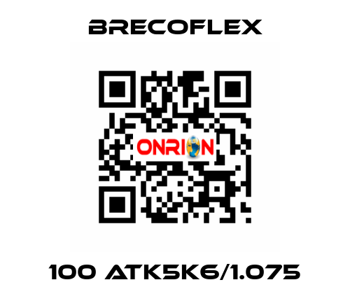 100 ATK5K6/1.075 Brecoflex