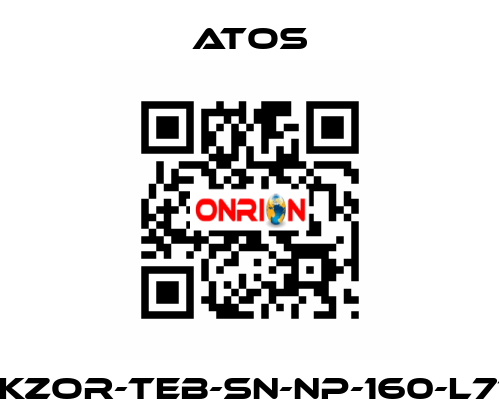 DLKZOR-TEB-SN-NP-160-L71/Q Atos