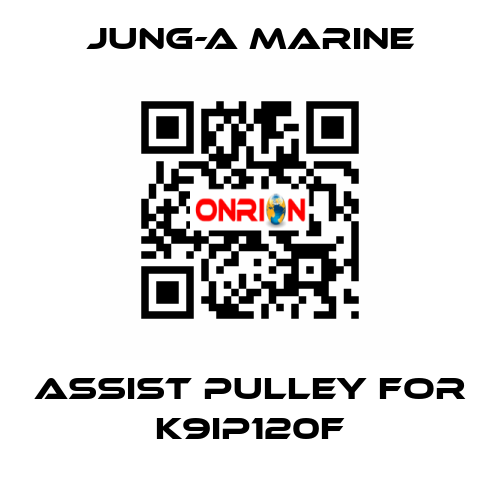 assist pulley for K9IP120F JUNG-A MARINE