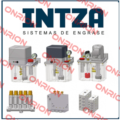 CORREA2210-03-001019 Intza