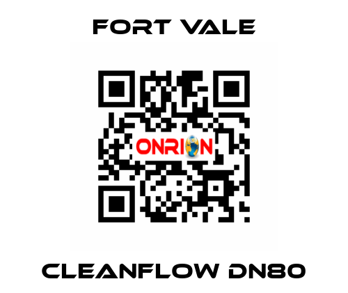 Cleanflow DN80 Fort Vale