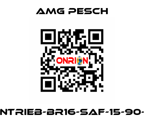 AMG-Antrieb-BR16-SAF-15-90-01-n=12 AMG Pesch