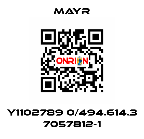 Y1102789 0/494.614.3 7057812-1 Mayr