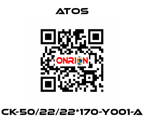 CK-50/22/22*170-Y001-A Atos