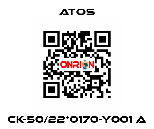 CK-50/22*0170-Y001 A Atos