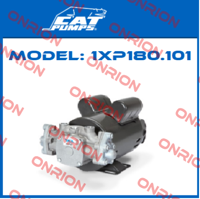 Model: 1XP180.101 Cat Pumps