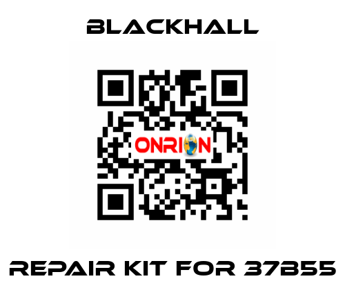 repair kit for 37B55 Blackhall