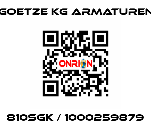 810SGK / 1000259879 Goetze KG Armaturen