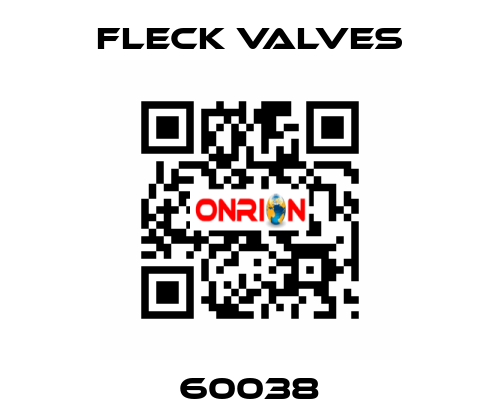 60038 Fleck Valves