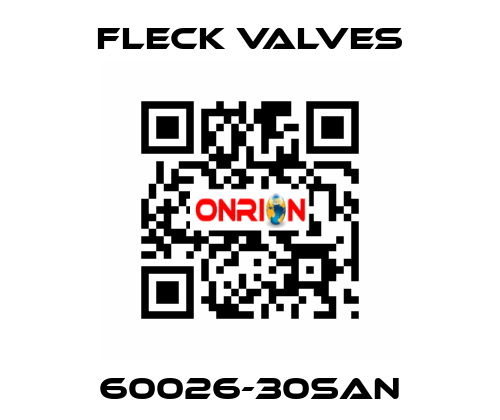 60026-30SAN Fleck Valves