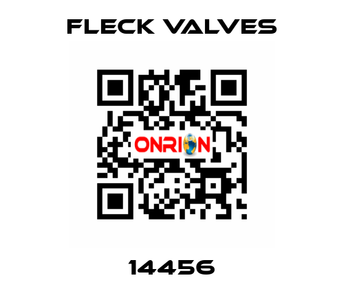 14456 Fleck Valves