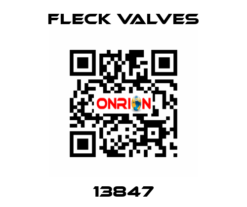 13847 Fleck Valves