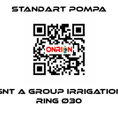 SNT A GROUP IRRIGATION RING Ø30 STANDART POMPA