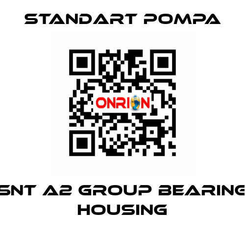 SNT A2 GROUP BEARING HOUSING STANDART POMPA